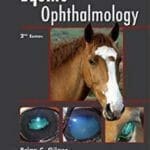 Equine Ophthalmology 2nd Edition PDF By Brian Gilger
