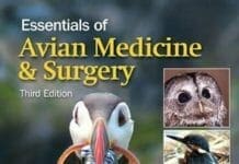 Essentials of Avian Medicine and Surgery 3rd Edition PDF
