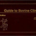 guide to bovine clinics pdf