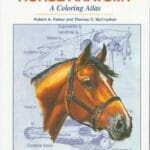 Horse Anatomy: A Coloring Atlas 2nd Edition PDF