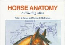 Horse Anatomy: A Coloring Atlas 2nd Edition PDF