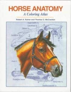 Horse Anatomy: A Coloring Atlas 2nd Edition PDF