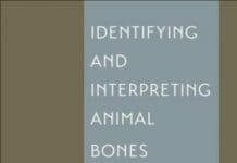 Identifying and Interpreting Animal Bones A Manual PDF By April M. Beisaw