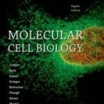 Lodish Molecular Cell Biology 8th Edition PDF By Harvey Lodish, Arnold Berk, Chris A. Kaiser, Monty Krieger, Anthony Bretscher, Hidde Ploegh, Angelika Amon and Kelsey C. Martin