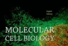 Lodish Molecular Cell Biology 8th Edition PDF By Harvey Lodish, Arnold Berk, Chris A. Kaiser, Monty Krieger, Anthony Bretscher, Hidde Ploegh, Angelika Amon and Kelsey C. Martin