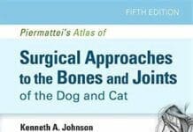 Piermattei Surgical Approaches PDF