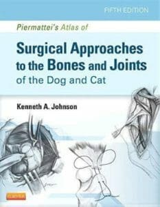 Piermattei Surgical Approaches PDF