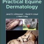 Practical Equine Dermatology 2nd Edition PDF Download