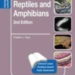 reptiles-and-amphibians-self-assessment-color-review-second-edition