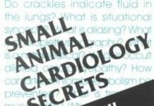 Small Animal Cardiology Secrets PDF By Jonathan A. Abbott