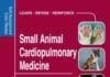 Small Animal Cardiopulmonary Medicine: Self-Assessment Color Review