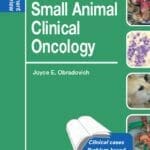 Small Animal Clinical Oncology: Self-Assessment Color Review