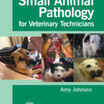 Small Animal Pathology for Veterinary Technicians PDF