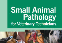 Small Animal Pathology for Veterinary Technicians PDF