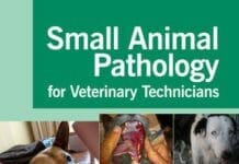 Small Animal Pathology for Veterinary Technicians PDF By Amy Johnson