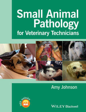 Small Animal Pathology for Veterinary Technicians PDF By Amy Johnson