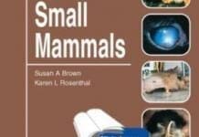 Small Mammals: Self-Assessment Color Review By Susan A. Brown and Karen L. Rosenthal