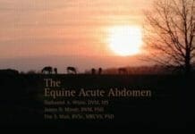Equine Acute Abdomen By James N. Moore, Nathaniel A. White and Tim S. Mair