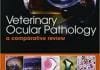 Veterinary Ocular Pathology A Comparative Review PDF