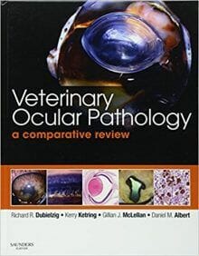 Veterinary Ocular Pathology A Comparative Review