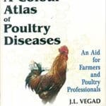 poultry diseases a guide for farmers and poultry professionals pdf By J.L. Vegad