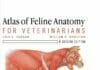 Atlas of Feline Anatomy For Veterinarians 2nd Edition