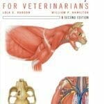 Atlas of Feline Anatomy For Veterinarians 2nd Edition