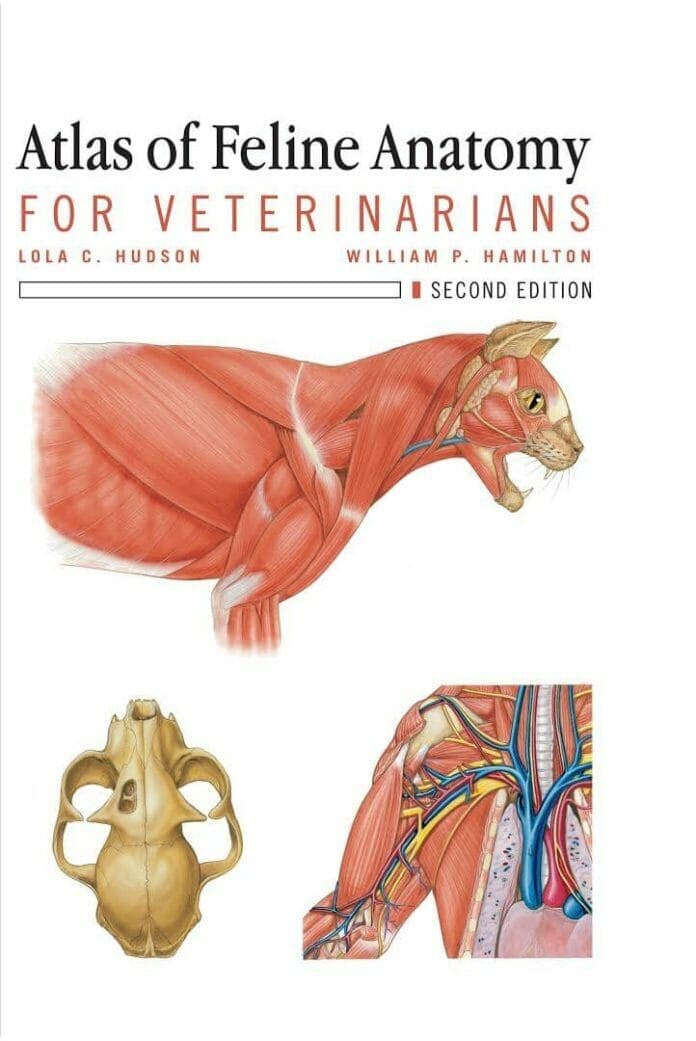 Atlas of Feline Anatomy For Veterinarians 2nd Edition