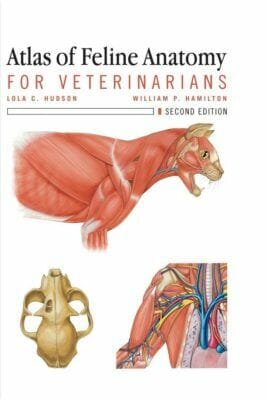 Atlas of Feline Anatomy For Veterinarians