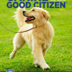 Canine Good Citizen: 10 Essential Skills Every Well-Mannered Dog Should Know 2nd Edition PDf