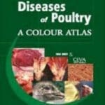 Diseases Of Poultry, A Colour Atlas pdf