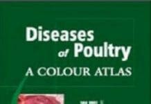 Diseases Of Poultry, A Colour Atlas pdf