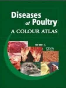 Diseases Of Poultry, A Colour Atlas pdf