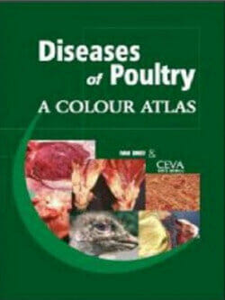 Diseases Of Poultry, A Colour Atlas PDF