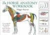 The Horse Anatomy Workbook The Horse Anatomy Workbook: A Learning Aid For Students Based On Peter Goody'S Classic Work, Horse Anatomy Pdf