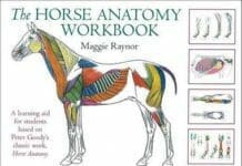 The Horse Anatomy Workbook: A Learning Aid for Students Based on Peter Goody's Classic Work, Horse Anatomy PDF