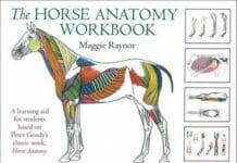The Horse Anatomy Workbook: A Learning Aid For Students Based On Peter Goody'S Classic Work, Horse Anatomy Pdf