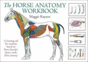 The Horse Anatomy Workbook: A Learning Aid for Students Based on Peter Goody's Classic Work, Horse Anatomy PDF