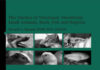 The Practice Of Veterinary Anesthesia: Small Animals, Birds, Fish And Reptiles Pdf