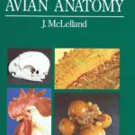 A Colour Atlas of Avian Anatomy PDF By J.McLelland