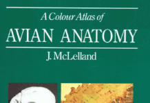 A Colour Atlas of Avian Anatomy PDF By J.McLelland