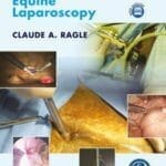Advances in Equine Laparoscopy PDF