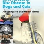 Advances in Intervertebral Disc Disease in Dogs and Cats PDF