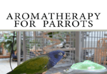 Aromatherapy for Parrots PDF