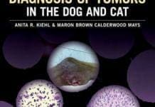 Atlas for the Diagnosis of Tumors in the Dog and Cat PDF Download