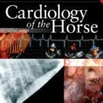 Cardiology of the Horse 2nd Edition PDF