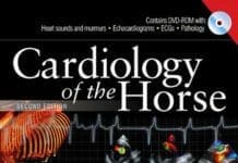 Cardiology of the Horse 2nd Edition PDF