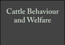 Cattle Behaviour and Welfare 2nd Edition PDF By Clive Phillips