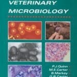 Clinical Veterinary Microbiology PDF By Patrick J. Quinn , M. E. Carter , B. Markey , G. R. Carter