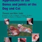 color-atlas-of-surgical-approach-to-the-bones-and-joints-of-the-dog-and-cat